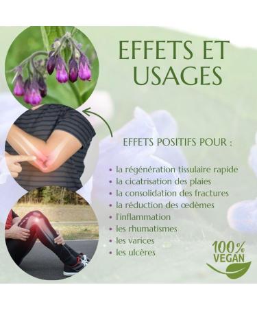 Green idea Gel de Massage au Consoude 500 ml | Gel Naturel pour Soin de la Peau Muscles et Articulations | Avec Extrait de Symphytum Officinale et Alanto ne | Cosm tique Naturelle - Buy Online on GoSupps.com