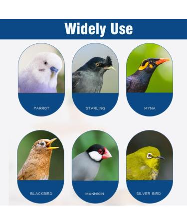 Fdit Bird Ladder Toy Hamster Stairs Wooden Flexible Suspension Bridge Climbing Swing for Parrot Budgie Parakeet Cockatiel African Grey Hamster Squirrel - Buy Online on GoSupps.com