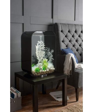 Biorb Large Horn Coral - Natural Plastic Aquaria Decoration | Easy Cleaning for Fresh & Saltwater | Black - Buy Online on GoSupps.com