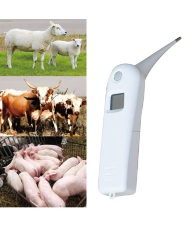 Pet Thermometer With Probe For Accurate Temperature Detection Suitable For Cats Dogs LCD Display For Cat Dog Thermometer Veterinary Thermometer Digital For Small Animals Large Animals Dogs Horse Cats - Buy Online on GoSupps.com