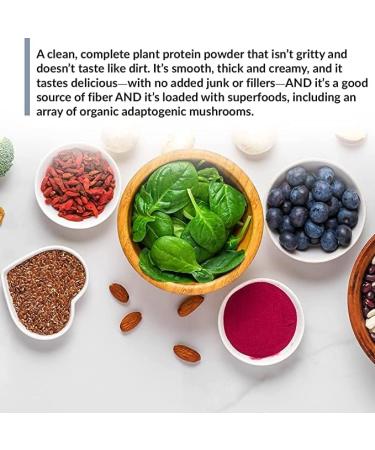 BioTrust Low Carb Plant Protein - Delicious Chocolate 20g Complete Vegan Protein 5g Fiber 15 Superfoods Dairy-Free 14 Servings - Buy Online on GoSupps.com