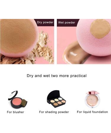 ZHIYE Makeup Sponge 4 PCS Beauty Makeup Blending Sponge Puff Blender Foundation Sponge Concealer Sponge Applicator Sponges 1 count (Pack of 4) - Buy Online on GoSupps.com