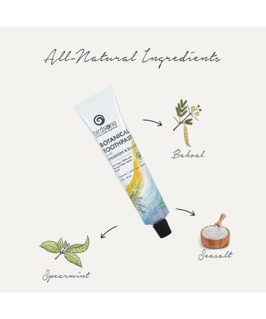 Botanical Sea Salt and Spearmint Toothpaste 100 GMS - Natural Whitening & Fresh Breath | International Shipping Available - Buy Online on GoSupps.com