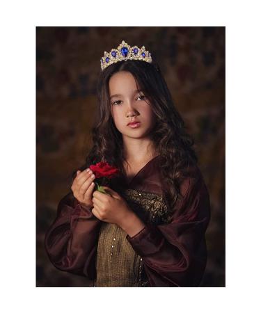 Didder Baroque Vintage Rhinestone Tiara - Blue Royal Crystal Women's Princess Crown - Bridal Hair Accessories for Wedding, Prom, Pageant & More - Buy Online on GoSupps.com