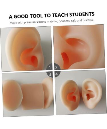 Silicone Ear Models for Practice - 1 Pair Ear Picking & Display Samples - Buy Online on GoSupps.com
