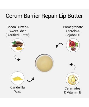 CORUM Natural Sweet Ghee Lip Butter Balm - Hydrating Repair for Dry Cracked Lips with Pomegranate & Cocoa Butter - 4.5g - Buy Online on GoSupps.com