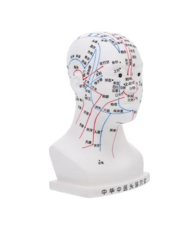 Minkissy acupuncture point model models acupuncture model of the human head head model head massage model head-acupuncture point model model head medically white pvc white 22x12x8cm
