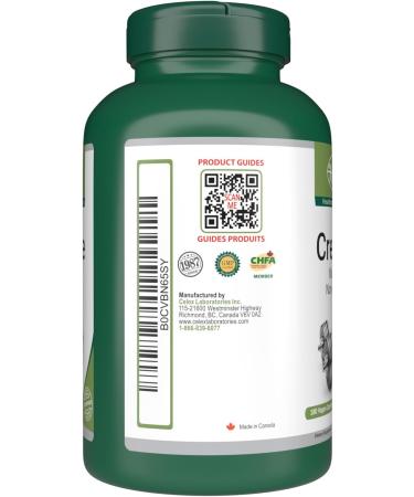 VORST Creatine Pills 1800mg Per Serving 180 Capsules | Monohydrate Micronized Non Irradiated 180 count (Pack of 1) - Buy Online on GoSupps.com