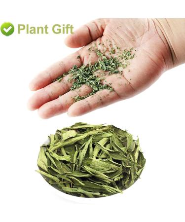 PlantGift Stevia Leaf 20G/0.7oz Herbal Tea Loose Leaf Sweet leaf Stevia - Buy Online on GoSupps.com