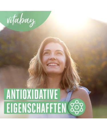 Vitabay Sage 1900 mg - 90 Vegan Sage Capsules | High Dose Salvia Officinalis Leaf Extract with 2% Essential Oils - Optimize Your Health - Buy Online on GoSupps.com