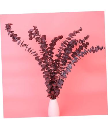 Cabilock Dried Eucalyptus Stems 10pcs Christmas Flower Arrangement Real Eucalyptus Leaves As Shown Size 3 - Buy Online on GoSupps.com