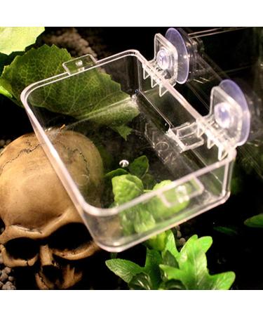 NN 1 Pcs Reptile Food Dish Reptile Anti-escape Bowls Transparent Suction Cups Reptile Feeding Pools Amphibians Feeder Bowls for Reptile Geckos Snakes - Buy Online on GoSupps.com