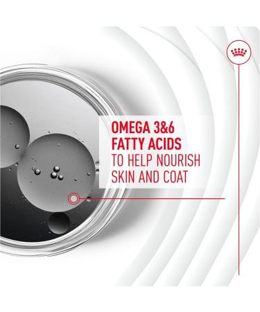 Royal Canin Dog Supplement for Skin & Coat Soft Chews 240g - Buy Online on GoSupps.com