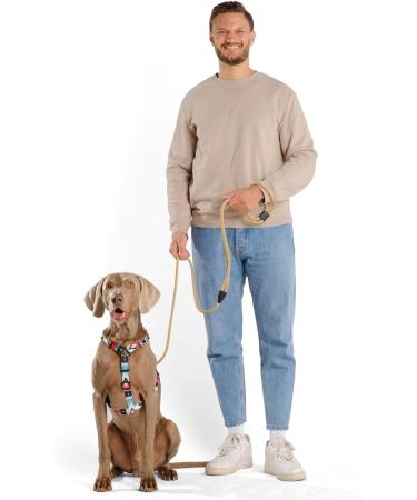 Hands-Free Dog Leash - 2m Adjustable Belly Belt | 3-in-1 Running & Training Leash for Large & Small Dogs - Beige - Buy Online on GoSupps.com