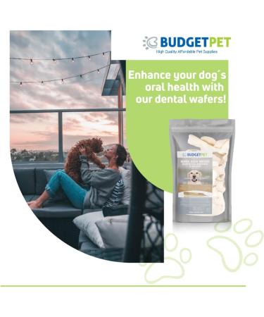 Budget Pet Enzymatic Dental Wafers for Small Breeds - Prevents Plaque and Tartar - Antiseptic Reduces Bacteria - Made from Select Beefhide - Improves Hygiene Oral of Your Dog. - Buy Online on GoSupps.com