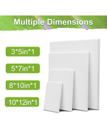 4 Pack Stretched Canvases for Oil & Acrylic Paint - 3x5, 5x7, 8x10, 10x12 Primed Canvas Blank Painting Set - Buy Online on GoSupps.com
