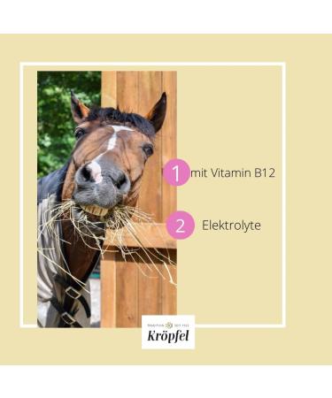 Kr pfel Elektrolyt Liquid Plus 1000 ml | Mineral Feed & Liquid Nutritional Supplements for Sports Horses & Ponies | Supplementary Feed for Racing Horses - Buy Online on GoSupps.com