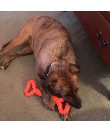 Atopo Robust Dog Toy - 13-Inch Bones Shaped Hard Rubber for Large & Small Dogs - Interactive Teeth Cleaning & Gum Massaging Toy - Orange - Buy Online on GoSupps.com