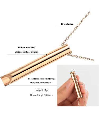 Stainless Steel Mindful Breathing Necklace Breathlace Necklace Quit Smoking Anxiety Necklace The Necklace for Anxiety Stress for Men Women Anxiety Relief (Blue) - Buy Online on GoSupps.com