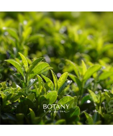 BotanyRoom Retinol Serum - Unlock Age-Defying Beauty & Radiant Transformation | International Shipping - Buy Online on GoSupps.com