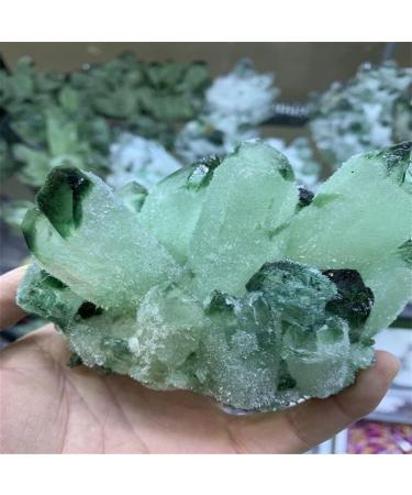Natural Crystal Rough 300-800g Natural Green Ghost Phantom Quartz Crystal Cluster Rock Stones and Crystals Home Decor NaturalReiki Decoration (Size : 320-400g) - Buy Online on GoSupps.com