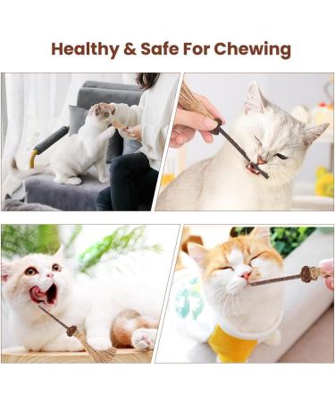 Aucenix Cat Chew Toy Silvercine Sticks for Indoor Cats Natural Matatabi Cat Teeth Cleaning Toy Kitten Teething Chew Stick for Kitty Pets Exercise Playing Chewing (2 Brooms) - Buy Online on GoSupps.com