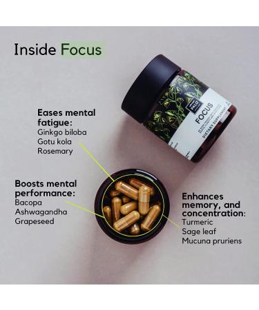 Palo Nutrition Brain Booster - Focus, Memory & Clarity - Ginkgo Biloba, Bacopa Monnieri, Ashwagandha & Turmeric - Gluten Free Nootropic - Buy Online on GoSupps.com