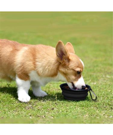 Slson 2-Pack Foldable Travel Dog Bowl - Safe Portable Pet Bowls with Carabiners | Ideal for Cats & Dogs (350ml Black & White) - Buy Online on GoSupps.com