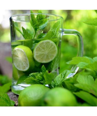 Peppermint (125g 4.4oz) peppermint leaves cut peppermint tea gently dried 100% pure and natural herbal tea 125 GR - Buy Online on GoSupps.com