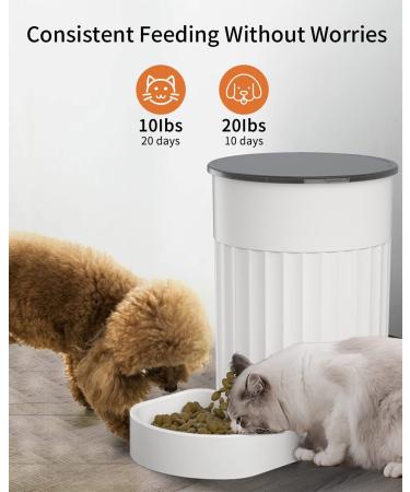 PAPIFEED Automatic Cat Feeder with APP Control | WiFi Smart Pet Food Dispenser for Cats, Rabbits & Small Dogs | Timed Portion Control | Up to 10 Meals Per Day | 1-12 Portions | LMZ - Buy Online on GoSupps.com