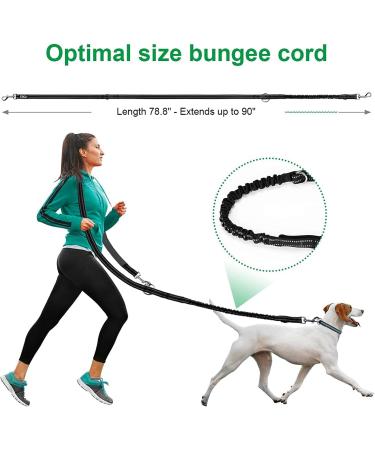 Etaccu Double Linen Freehand Practice Lines for Medium to Large Dogs - 2m Non-Slip Reflective Handle (Black) | Strong & Durable for 35kg - Buy Online on GoSupps.com