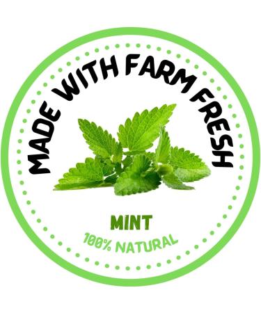 Himalayan Yak Cheese Dog Chew - *(Mint Large 4 Pack)* - (Mint/Peanut Butter/Mango/Apple) - Cheese Bones for Dogs - Long Lasting Dog Treats - Dog Chew - Natural Yak Cheese MINT (LARGE 4 PACK) - Buy Online on GoSupps.com