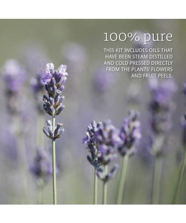 Now Foods Let It Be Organic Essential Oils Kit - 4 Bottles (10 ml Each) - Aromatherapy Blend - Buy Online on GoSupps.com