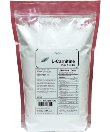 NuSci L-Carnitine Pure Powder Energy (454g (1.0 Lb)) - Buy Online on GoSupps.com