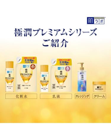 Hada Labo Gokujun Premium Hyaluronic Acid Refill 170mL - Hydrating Beauty Essence - Buy Online on GoSupps.com
