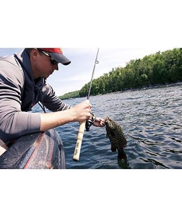 Ugly Stik Elite Spinning Fishing Rod 6'6 - Ultra Light - 2pc | Durable & Sensitive - Buy Online on GoSupps.com