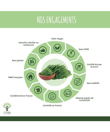 100% Feuille de Moringa Oleifera Bio - Bioptimal - En Poudre - Antioxydant Immunit Anti-Fatigue Cheveux - Vitamine A C E - Origine Kenya - Conditionn en France - Certifi Ecocert - 100 g 100 g (Lot de 1) - Buy Online on GoSupps.com