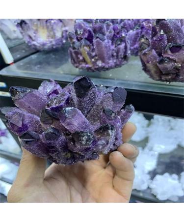 Natural Crystal Rough Specimen 300-400g Natural Purple Ghost Phantom Quartz Crystal Cluster Rock Stones and Crystals ReikiSpecimen HomeStone (Size : 400-500g) - Buy Online on GoSupps.com
