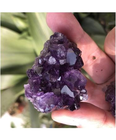 Natural Crystal Rough Crystal 70-80g Natural Amethyst Crystal Cluster Quartz Raw Crystals Stone Decoration Ornament Purple Feng Shui Stone Ore (Size : 1pc) - Buy Online on GoSupps.com