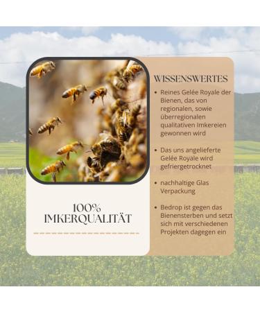 Threats Cream Biengift Sage - Cooling & Warming Beeott Cream with Herbal Extracts 100g | International Shipping - Buy Online on GoSupps.com