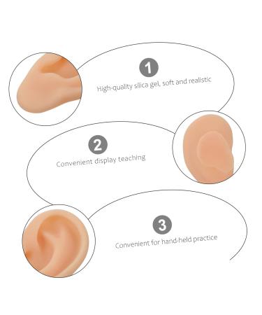 SOESFOUFU 1pc Ear Model Flexible Fake Ear for Teaching Practice Realistic Simulation Artificial Left Ear Mold - Buy Online on GoSupps.com