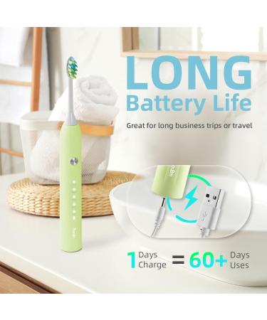 7AM2M Sonic Electric Toothbrush for Adults and Kids One Charge for 90 Days with 6 Brush Heads 5 Modes with 2 Minutes Build in Smart Timer Roman Column Handle Design(Green) Green No Travel Case - Buy Online on GoSupps.com