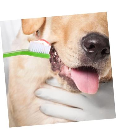 CORHAD 12pcs Double Head Dog Toothbrush Dog Finger Toothbrush Dog Toothbrush Toothpaste Dog Tooth Care Pp - Buy Online on GoSupps.com