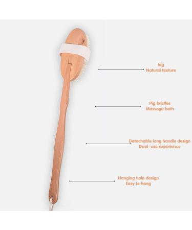 3 Pack Bath Dry Brush Set for Body Exfoliation & Shower Massage - Natural Soft and Stiff Bristles with Long Handle and Pumice Brush Included - Buy Online on GoSupps.com