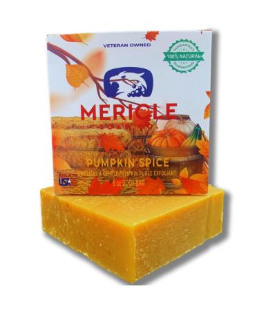 Limited Edition Pumpkin Spice Organic 5oz Body Bar | Traditional Cold Process Technology | 100% Organic & Natural Ingredients | No Harsh Chemicals | Exfoliating | Made in the USA
