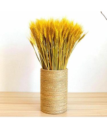 Natural Wheat Decoration Rabbit Tail Grass Wedding Dried Typha Phragmites Dried Flower Real Dry Color Bouquet Flowers White - Buy Online on GoSupps.com