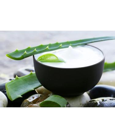 Alginate de propyl ne glycol PGA E 405 algine mulsifiant paississant pour liqueurs et cr mes cuisine mol culaire. Gastro - Bo te 350 g. - Buy Online on GoSupps.com