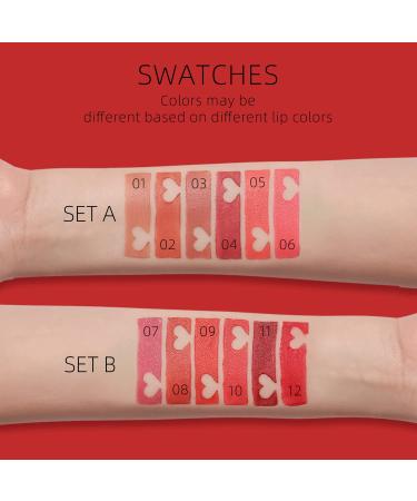 YOUNG VISION Lipsticks Set: Multi-finish Matte Nude Colors Bundle for Long-lasting & Moisturizing Lip Makeup - Pack of 6 - Perfect Gift for Women - Buy Online on GoSupps.com