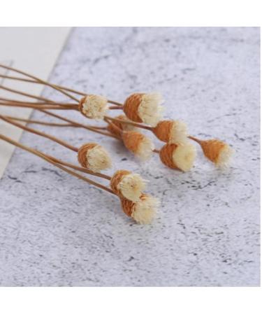 20 Rattan Diffuser Sticks for Essential Oils | Rose Replacement Refills for Home Bedroom Bathroom - Buy Online on GoSupps.com