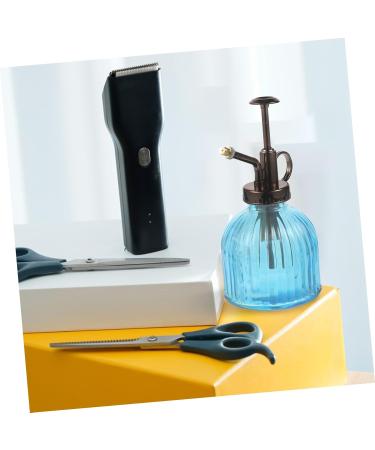 FRCOLOR Watering Can Made of Embossed Glass Indoor Plant Nebuliser Hairdresser Flower Watering Can Water Spray Bottle Vintage Plant Watering Spray Bottle Cactus Small Watering Can System - Buy Online on GoSupps.com